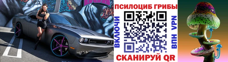 Купить где  Кириллов  Псилоцибиновые грибы ЛСД 